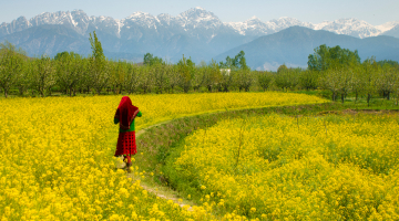 Kashmir Trip